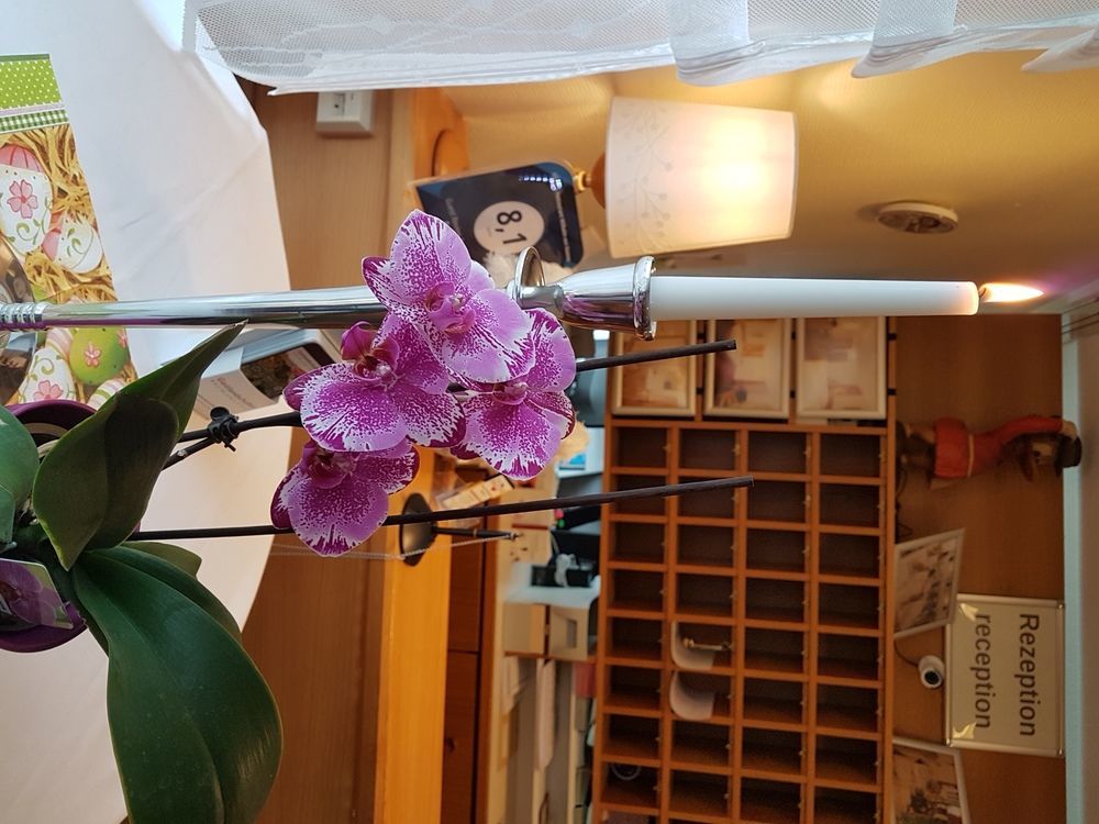 Hotel & Restaurant Wilhelm Von Nassau ディーツ エクステリア 写真