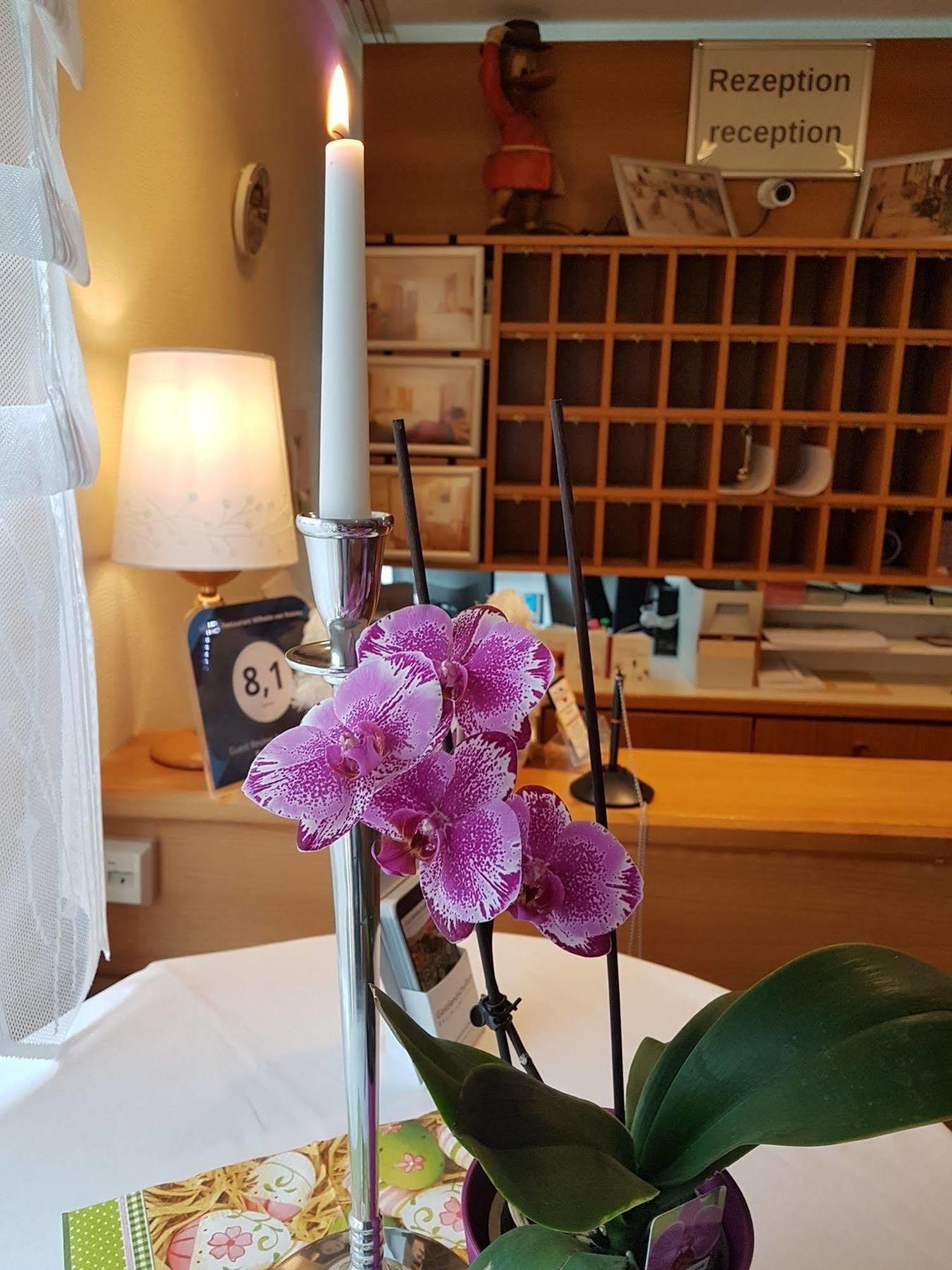 Hotel & Restaurant Wilhelm Von Nassau ディーツ エクステリア 写真